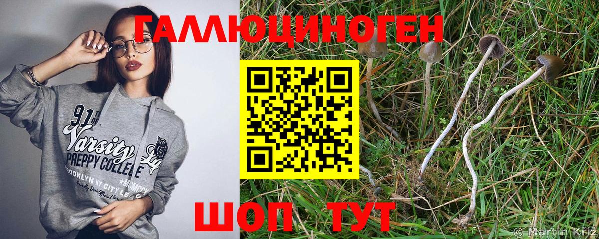 Галлюциногенные грибы мицелий  Псилоцибиновые грибы Psilocybe  Вход с VPN  Прохладный 