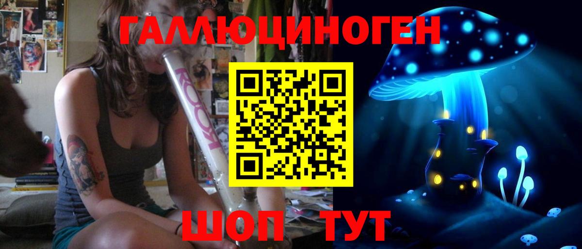Псилоцибиновые грибы GOLDEN TEACHER Прохладный